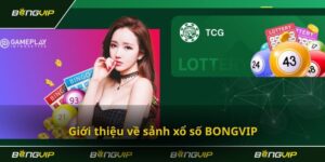 Xổ số Bongvip – Nền tảng cá cược trực tuyến hàng đầu Việt Nam