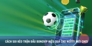Cách Soi Kèo Trận Đấu Bongvip Hiệu Quả Cho Người Mới Chơi