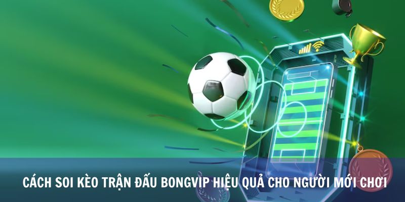 Cách Soi Kèo Trận Đấu Bongvip Hiệu Quả Cho Người Mới Chơi